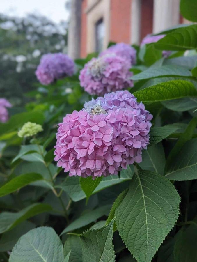 טולדו The Vistula Rose B & B מראה חיצוני תמונה